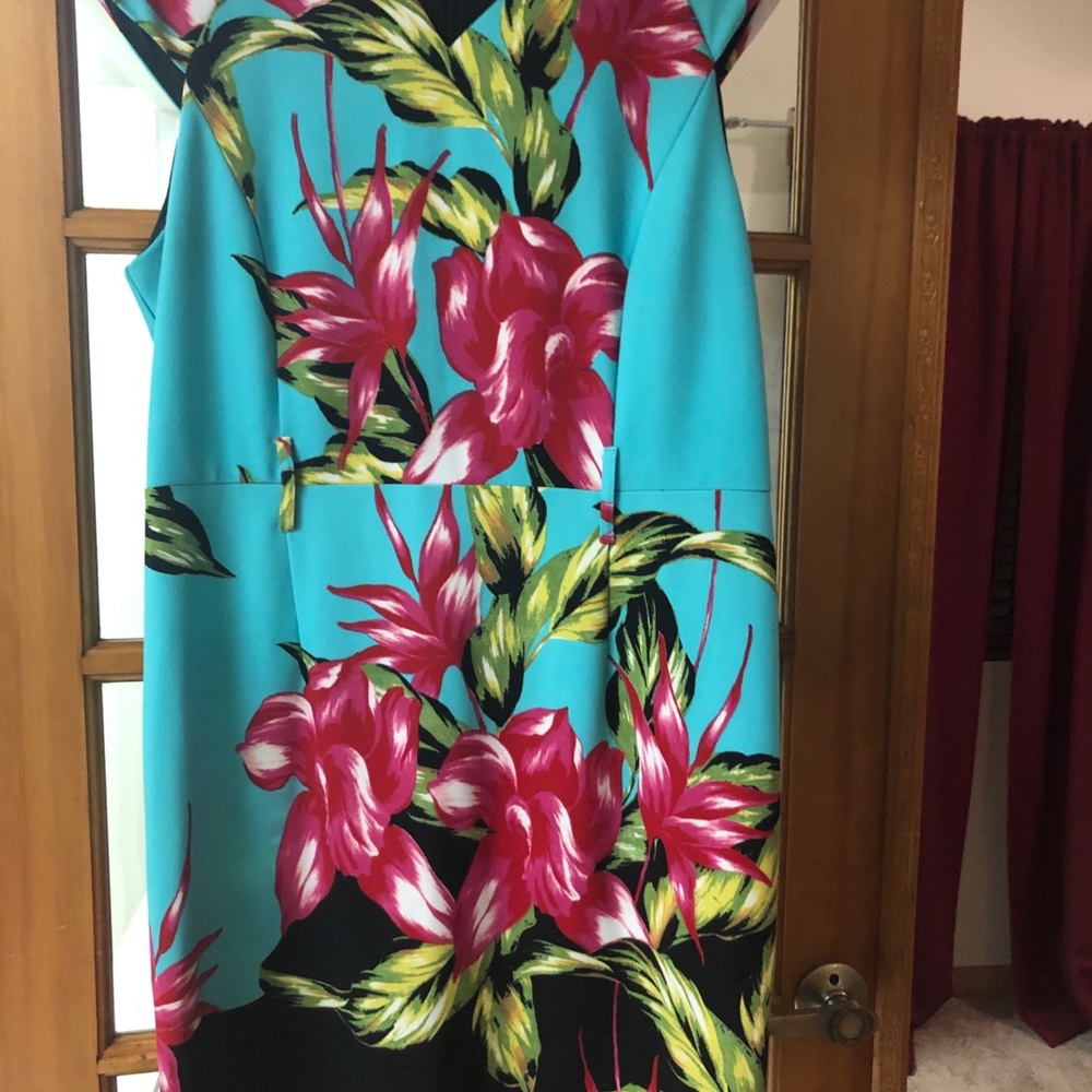 Various - Picture 2 of 14